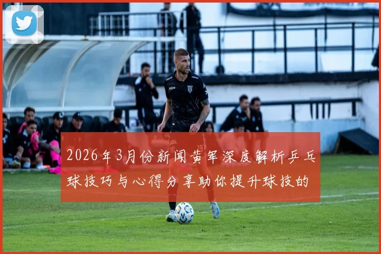 2026年3月份新闻黄军深度解析乒乓球技巧与心得分享助你提升球技的秘密宝典