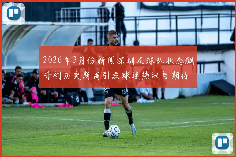 2026年3月份新闻深圳足球队状态飙升创历史新高引发球迷热议与期待