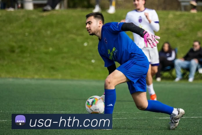 华体会下载平台生态图